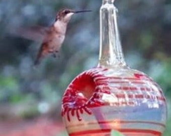 RU- Best Glass Hummingbird Feeder, The Original One Piece Drip-less Hummingbird Feeder/ Ruby. Free Gift Wrap