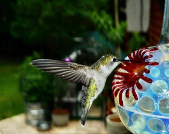 Hand Blown Glass Hummingbird Feeder: Silver Hobnail, No Drip, Free Gift Wrap