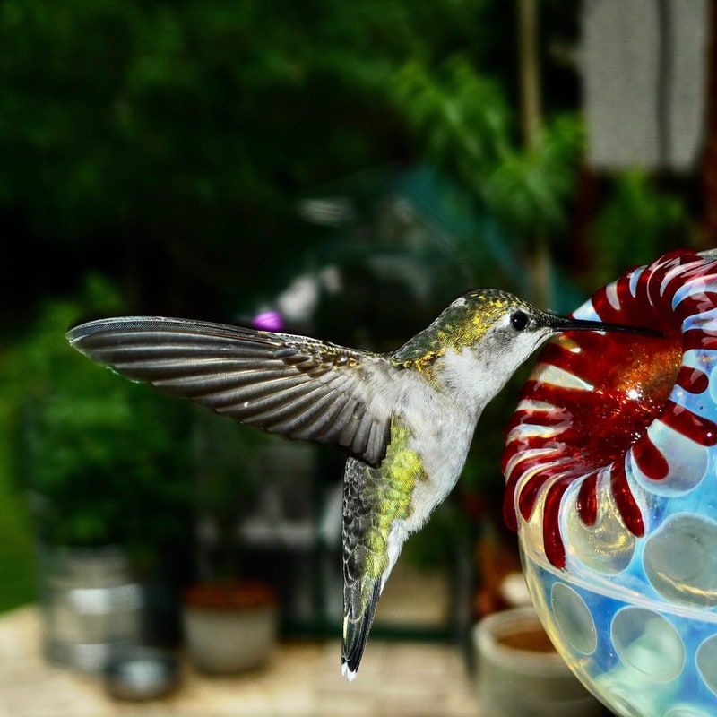 Hummingbird Gifts - 60+ Gift Ideas for 2025