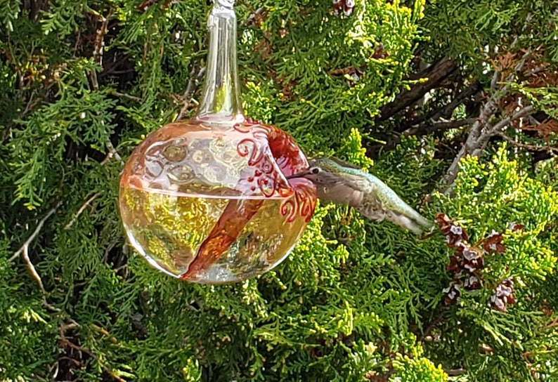 GH Best Glass Hummingbird Feeder, The Original One Piece Drip-less Feeder/ Gold Hobnail. Free Gift Wrap image 5