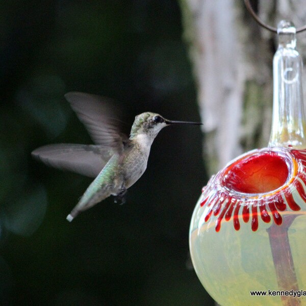 Hummingbird Feeder Tubes Etsy