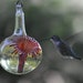 see more listings in the Hummingbird Feeders section