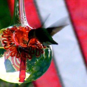 SH1- Best Glass Hummingbird Feeder, The Original One Piece Drip-less Feeder/Silver Hobnail. Free Gift Wrap
