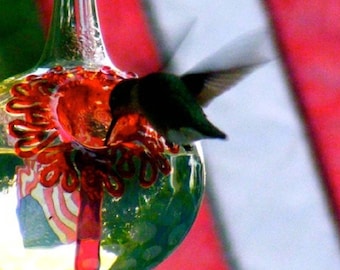 May include: A clear glass hummingbird feeder with a red, white and blue design. A hummingbird is perched on the feeder, drinking nectar.