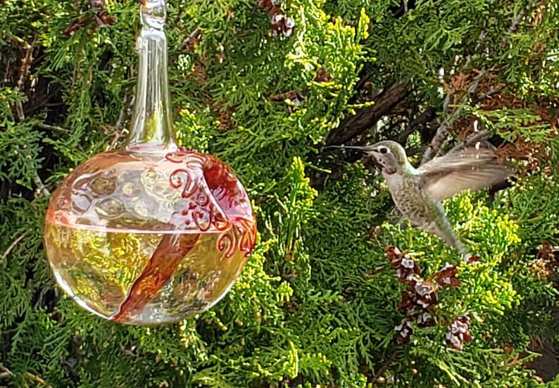 GH Best Glass Hummingbird Feeder, The Original One Piece Drip-less Feeder/ Gold Hobnail. Free Gift Wrap image 8