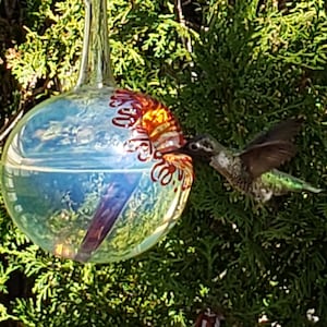 OR1- Best Glass Hummingbird Feeder, The Original One Piece Drip-less Hummingbird Feeder. Free Gift Wrap