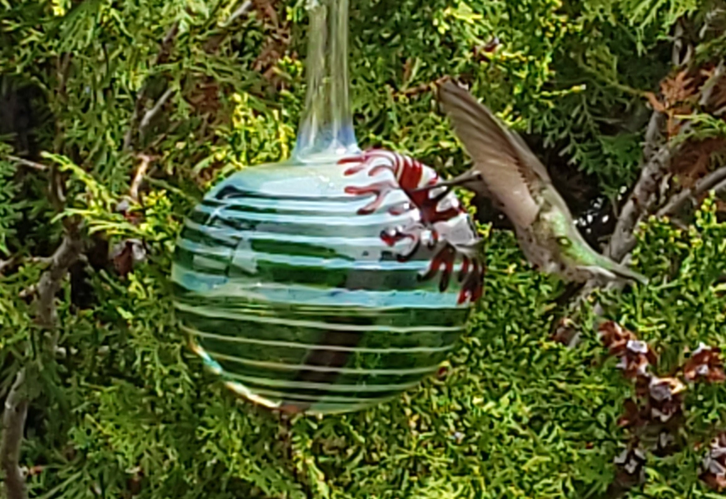 GR Hummingbird Feeder, The Kennedy Style Hummingbird Feeder, The