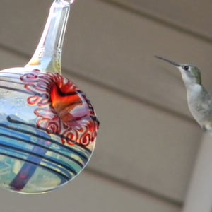 BK- Best Glass Hummingbird Feeder, The Original One Piece Drip-less Hummingbird Feeder/Black. Free Gift Wrap