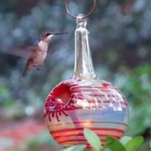 RU- Best Glass Hummingbird Feeder, The Original One Piece Drip-less Hummingbird Feeder/ Ruby. Free Gift Wrap