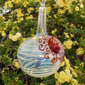 WT Best Glass Hummingbird Feeder, The Original One Piece Drip-less Hummingbird Feeder/ White. Free Gift Wrap image 4