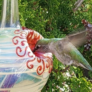 WT Best Glass Hummingbird Feeder, The Original One Piece Drip-less Hummingbird Feeder/ White. Free Gift Wrap image 7