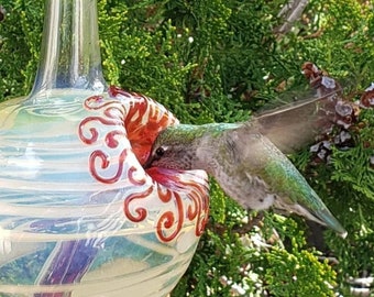 Hand Blown Glass Hummingbird Feeder: White Accent, No Drip Design, Free Gift Wrap
