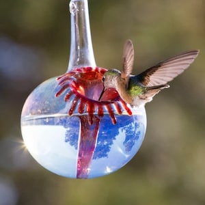 OR- Best Glass Hummingbird Feeder, The Original One Piece Drip-less Hummingbird Feeder. Free Gift Wrap