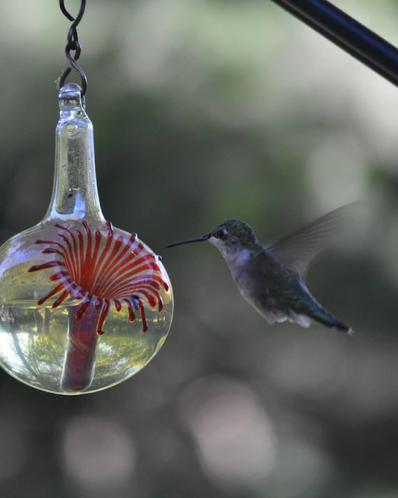 Hand Blown Glass Hummingbird Feeder: Original Silver, No Drip Design, Free Gift Wrap