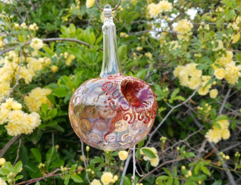 GH Best Glass Hummingbird Feeder, The Original One Piece Drip-less Feeder/ Gold Hobnail. Free Gift Wrap image 6