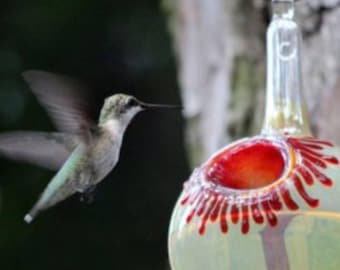 May include: A hummingbird feeder with a clear glass globe and a red and white flower design. The feeder is hanging from a hook and a hummingbird is perched on the edge.