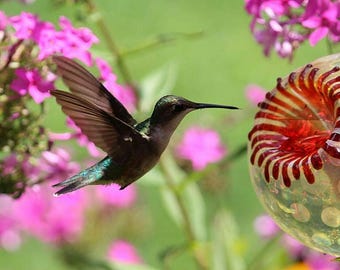 Hand Blown Glass Hummingbird Feeder: Silver Hobnail, No Drip, Free Gift Wrap