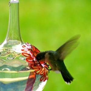 SH1- Best Glass Hummingbird Feeder, The Original One Piece Drip-less Feeder/Silver Hobnail. Free Gift Wrap
