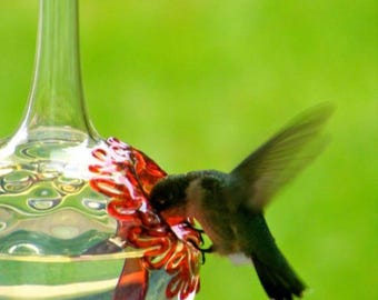 Hand Blown Glass Hummingbird Feeder: Silver Hobnail, No Drip, Free Gift Wrap