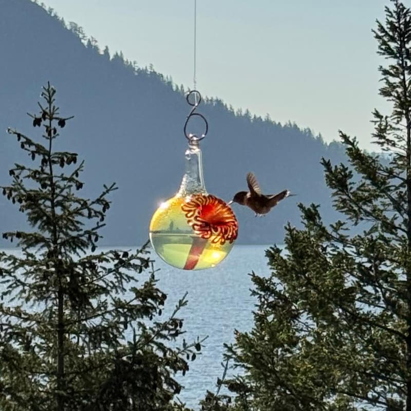 Hummingbird Gifts - 60+ Gift Ideas for 2025