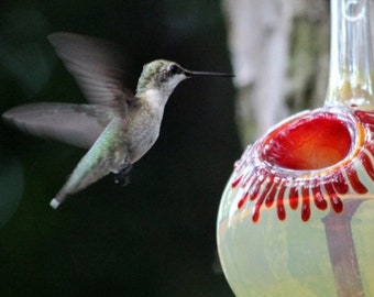 OR- Best Glass Hummingbird Feeder, The Original One Piece Drip-less Hummingbird Feeder. free Gift Wrap