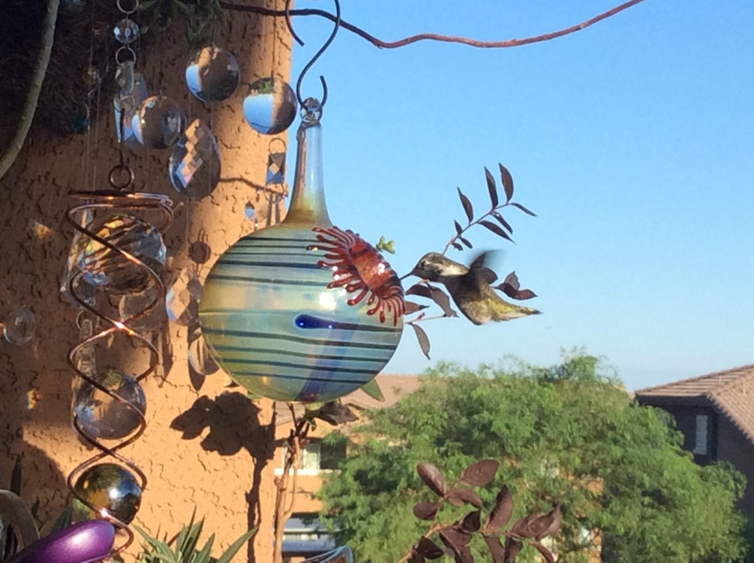 Best hummingbird feeder ever