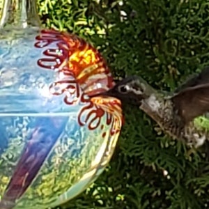 OR1- Best Glass Hummingbird Feeder, The Original One Piece Drip-less Hummingbird Feeder. Free Gift Wrap