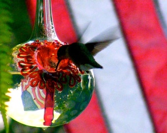 SH1- Best Glass Hummingbird Feeder, The Original One Piece Drip-less Feeder/Silver Hobnail. Free Gift Wrap