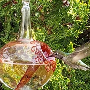 GH- Best Glass Hummingbird Feeder, The Original One Piece Drip-less Feeder/ Gold Hobnail. Free Gift Wrap