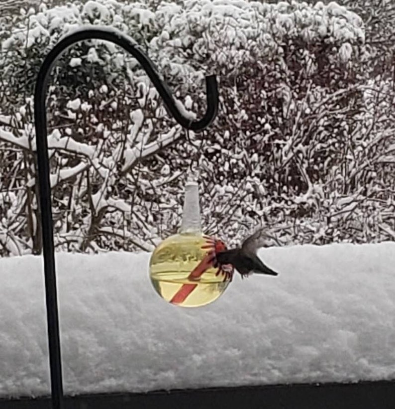 May include: A clear glass bird feeder with a red and yellow design hangs from a black metal hook. A bird is perched on the feeder, with snow in the background.