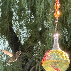 SH1+- Best Glass Hummingbird Feeder, with Decorative Hanger, no drip, Silver Hobnail. Free Gift Wrap