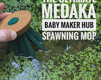 The Ultimate Medaka Baby Maker Hub (2 Pack) Spawning Mop for Japanese Rice Fish Aquarium & Pond
