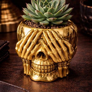 May include: A gold-colored skull-shaped planter with a succulent plant. The planter has hands covering the eyes. The succulent is green with red tips and sits in a bed of small brown pebbles.