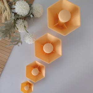 May include: Four peach-coloured, hexagonal moulds of varying sizes, each with a central, circular design. The moulds are arranged diagonally, with a white background and floral accents in the upper left corner. The moulds appear to be for baking or crafting.