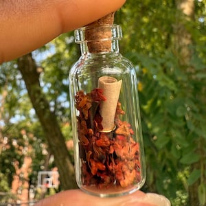 May include: A small, clear glass bottle with a cork stopper, filled with dried red petals and a rolled-up scroll. The bottle is held against a backdrop of green foliage and sunlight.