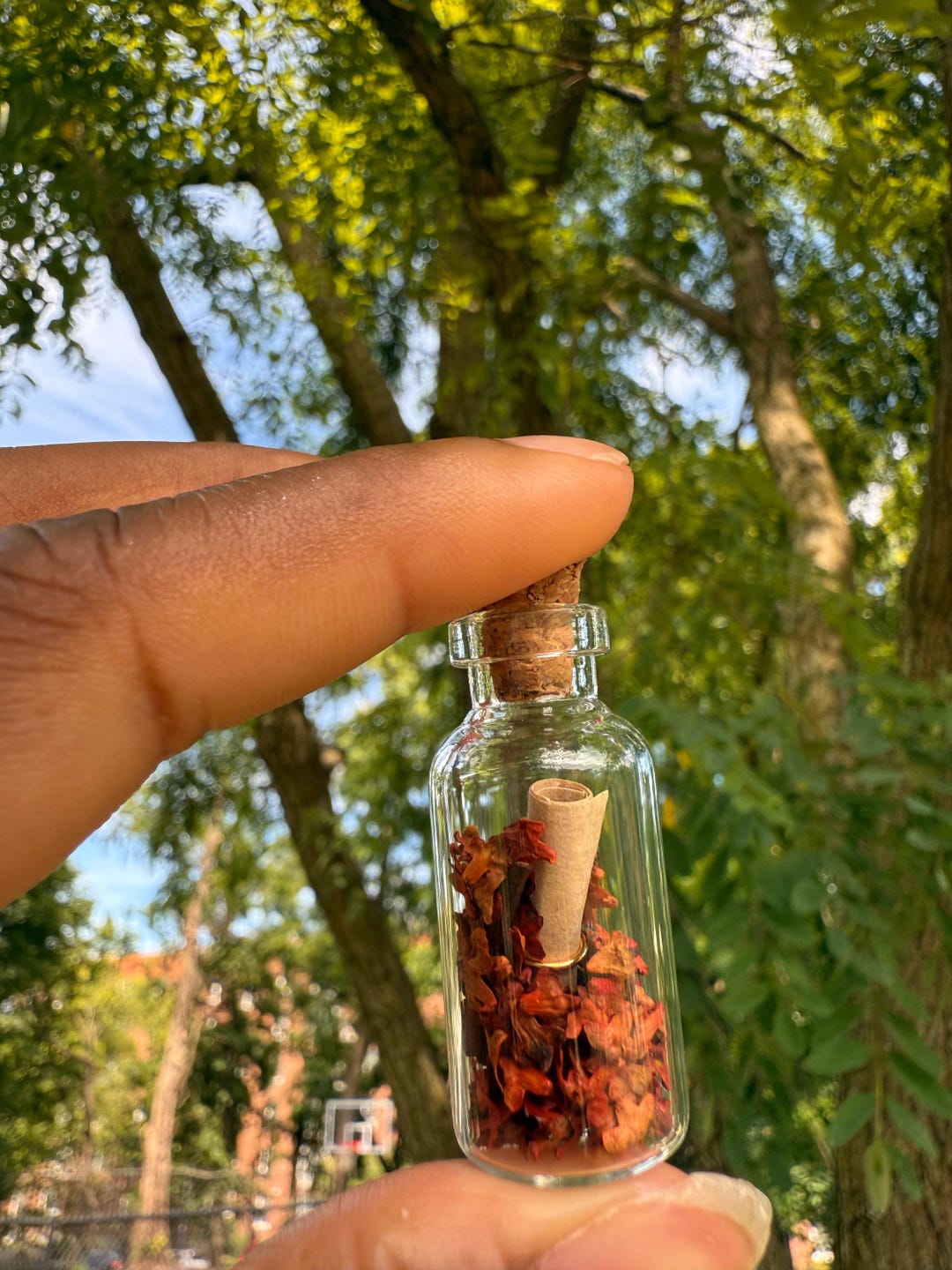 Mini Message Jar Mini Glass Message Jars | Tiny Scroll Bottle Decor Red Maple Leaves ...