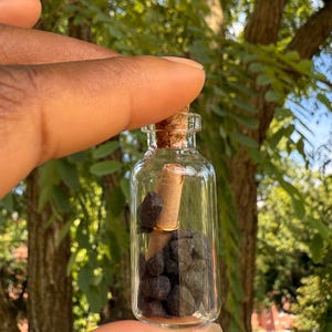 May include: A small, clear glass bottle with a cork stopper, filled with dark, irregularly shaped stones and a rolled-up paper. A gold ring encircles the paper. The background features green foliage and a glimpse of a blue object.