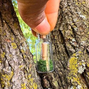 May include: A small, clear glass bottle held between tree bark. The bottle contains a rolled-up scroll, green moss, and a gold ring. The bark is brown with yellow and green patches. The background is a blurred view of green foliage.