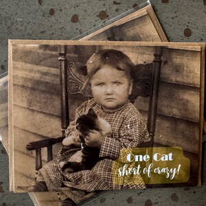 G&G - Un chat qui n'est pas fou !