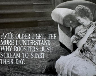 Funny Aging Greeting Card: Understand why Roosters scream to start their day....