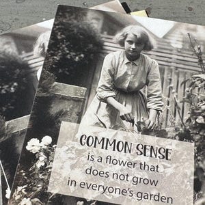 G&G - Common Sense - Un fiore che non cresce nel giardino di tutti.