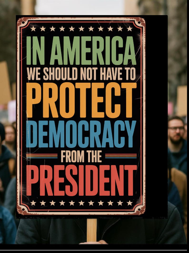 以下が含まれることがあります： 「IN AMERICA WE SHOULD NOT HAVE TO PROTECT DEMOCRACY FROM THE PRESIDENT」と書かれたヴィンテージスタイルの看板。看板は黒い背景に茶色の縁取りと白い星が描かれています。テキストは様々な色で表示されています。