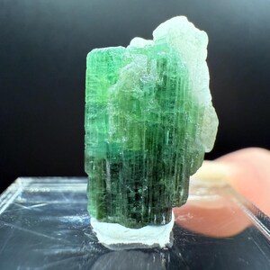 May include: A vibrant green tourmaline crystal specimen. The crystal displays a columnar structure with varying shades of green, transitioning from a deep, rich green at the base to a lighter, almost translucent green at the top. The crystal is mounted on a white base.