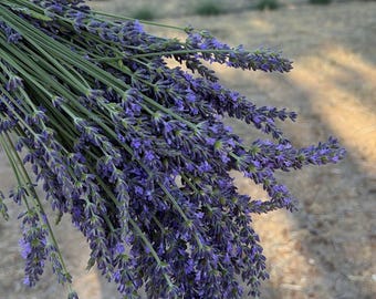Ramo de lavanda