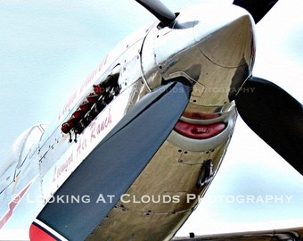 May include: A silver and black airplane with a red stripe and the text "Lemay Air Ranch" on the side. The airplane is in flight and the propeller is spinning.
