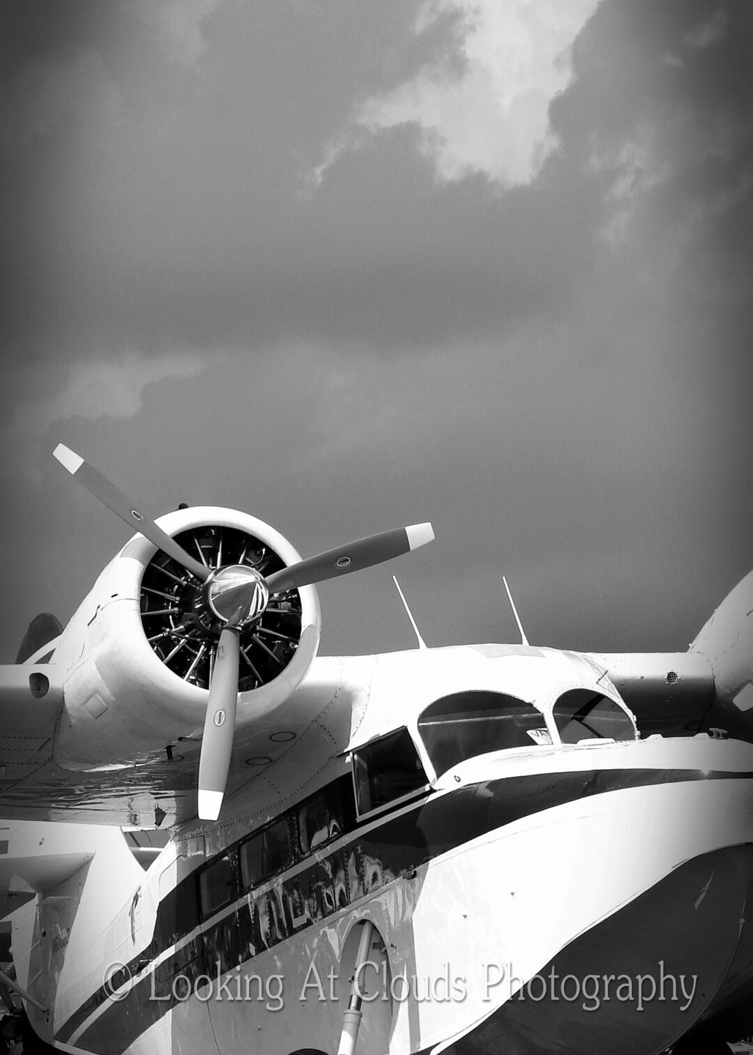 Grumman Goose Amphibian Airplane Photo Aviation Art Black Etsy