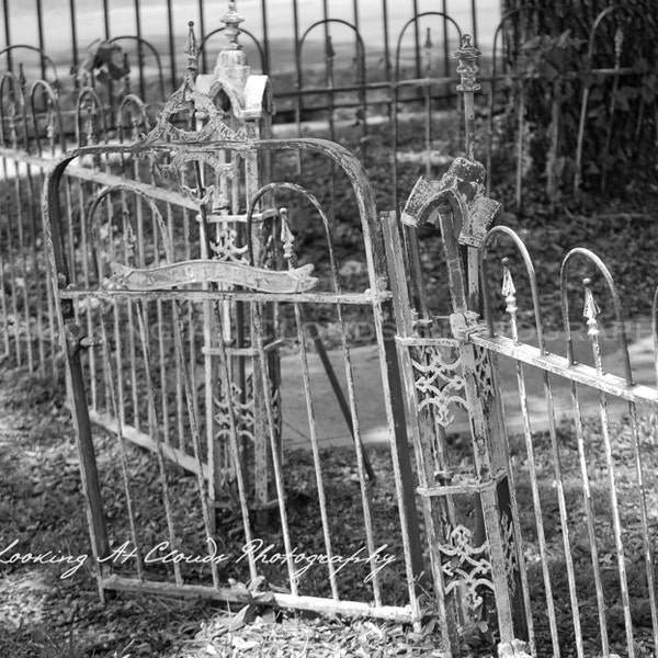 wrought iron garden gate and fence art photo, black and white photography, vintage garden decor, shabby cottage chic