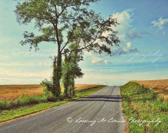 country road, rural art, open road, backroads, farm, clouds, country life with fields and trees