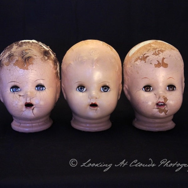 three doll heads fine art photography, antique dolls with beautiful eyes, creepy doll, trio, shabby chic