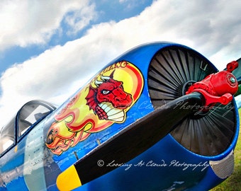 blue aviation photo, Redstar, airplane photo, fuselage and prop, dragon, pilot gift, Nanchang, pop art